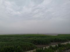 -南汇嘴观海公园