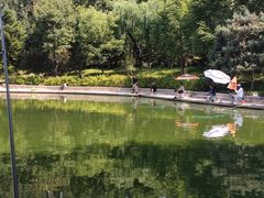 -济南南郊宾馆