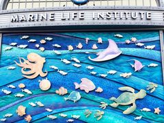 -海底巡游艇:尼莫和好友的海洋世界