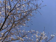 -静安雕塑公园