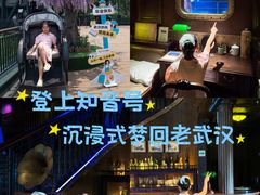 -武汉知音号