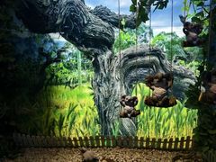 -青岛葡萄酒博物馆