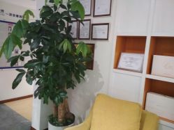 -圣轩·诗安国际母婴会所(渝中店)