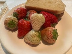 -领仕扒房(长春店)