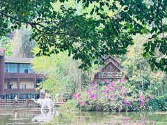 -野象谷景区