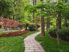 -复旦大学本部-食堂