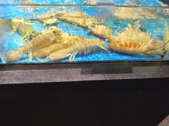 -徐记海鲜(大雁塔|金都店)