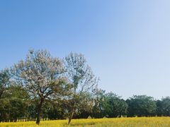 -汉长安城未央宫国家考古遗址公园