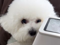 -佳雯宠物医院·皮肤科·内外科(春晓路分院)