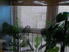 -施奈儿.洗头頭療.按摩SPA.采耳(上梅林店)