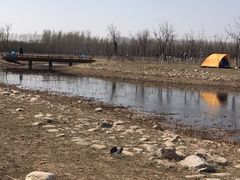-东郊湿地公园