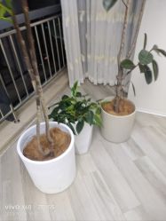 -HEYAN荷妍专业脱毛连锁机构