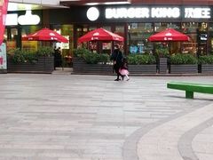 -石狮世茂摩天城摩天轮