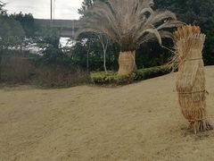 -美兰湖景区