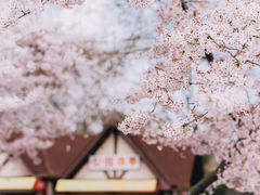 -青岛中山公园-索道售票处