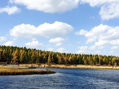 -塞罕坝国家级自然保护区