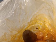 -万象汇