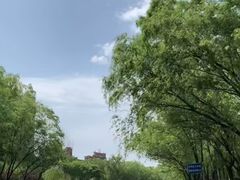 -皇家御河游(紫御湾码头)
