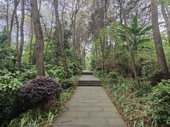 -铁山坪森林公园