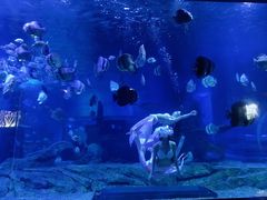 -石林冰雪海洋世界