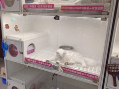 -lincat·猫舍(广州店)