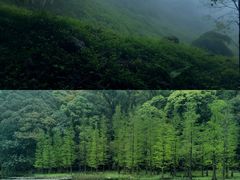 -广州市石门国家森林公园