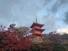 -有栖山 清光院 清水寺