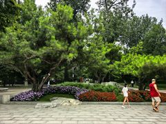 -宣武艺园