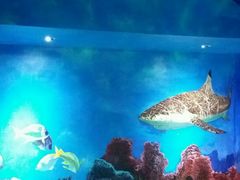 -船奇蒸汽海鲜·闽菜(八市海鲜总店)