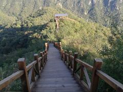 -大岭沟猕猴桃谷风景区