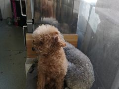 -康乐宝动物医院