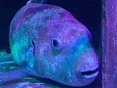 -沈阳海洋探索中心