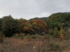 -嘉华国际旅行社有限公司