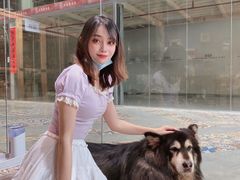 -more than meow吴止猫主题餐厅(承德 中船汇店)