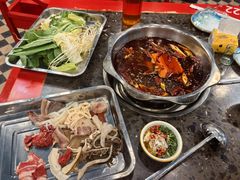 -金鼎雪山牦牛杂火锅(理县总店)