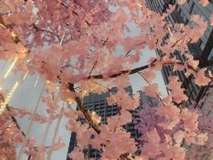 -首开·龙湖成都西宸天街