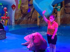 -烟台海昌鲸鲨海洋公园