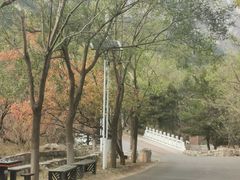 -北京凤凰岭