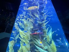 -广州海洋馆
