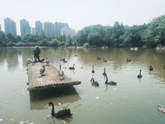 -南昌动物园