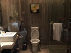 -常州环球恐龙城维景国际大酒店