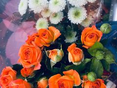 -循礼门鲜花花市(武汉循礼门店)