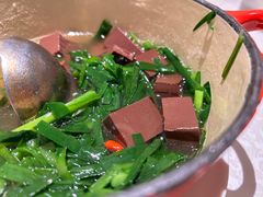 春季头茬韭菜猪红-维园悦谱·海派家常菜(乌鲁木齐南路店)