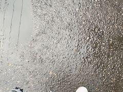 -西安化觉巷清真大寺