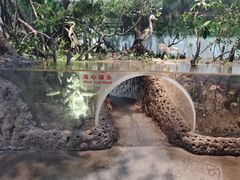 -中国湿地博物馆