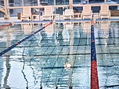 -深圳大学城（南区）体育中心-游泳馆