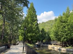 -白水寺森林公园