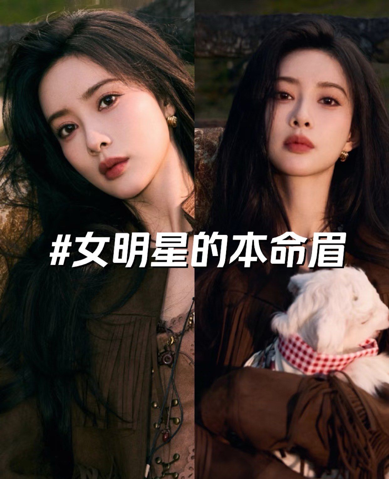 女明星的本命眉