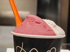 -Dip in Gelato(富民路店)