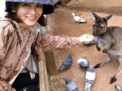 -费瑟代尔野生动物园